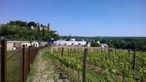 Résidence Prestige Odalys Le Clos Saint Michel