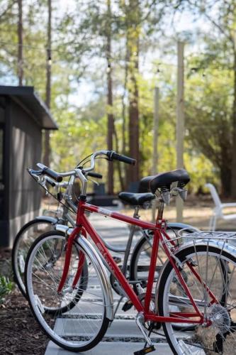 *Newly Renovated Home* Fire Pit BBQ & Games in Gainesville, USA