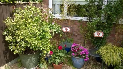 The Peels B&B - image 6