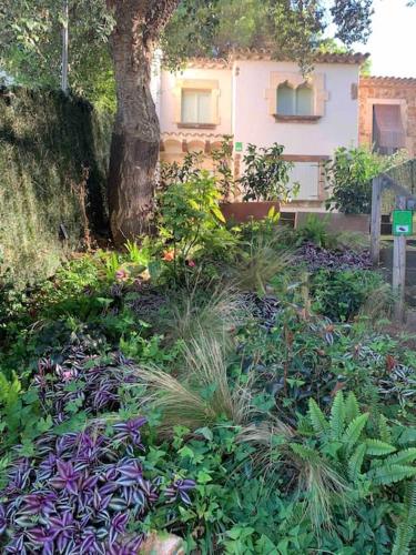 Fantàstica casa amb jardí en plena COSTA BRAVA