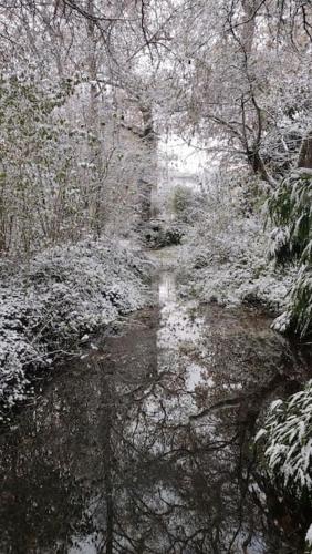 Moulin de la Houssaie - Parc arboré et ses étangs