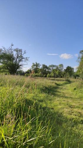 Moulin de la Houssaie - Parc arboré et ses étangs