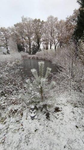 Moulin de la Houssaie - Parc arboré et ses étangs