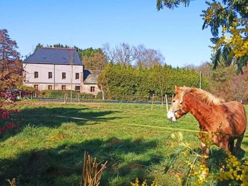 Moulin de la Houssaie - Parc arboré et ses étangs