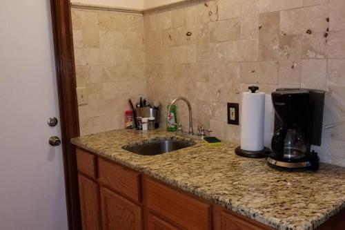 One-Bedroom Apartment image 7
