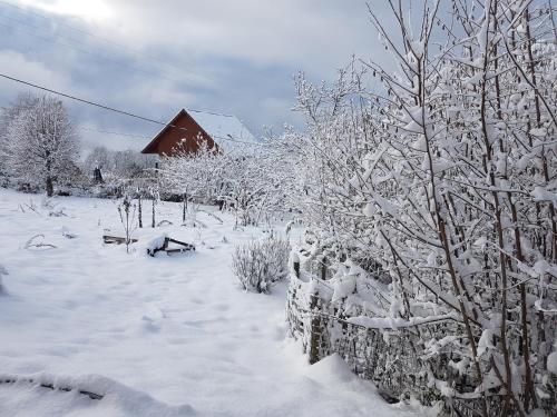 Belle maison au cœur des Alpes