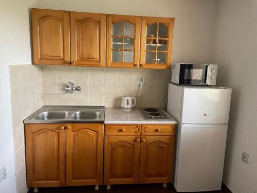 Дружба Apartment in Mali Bajmok