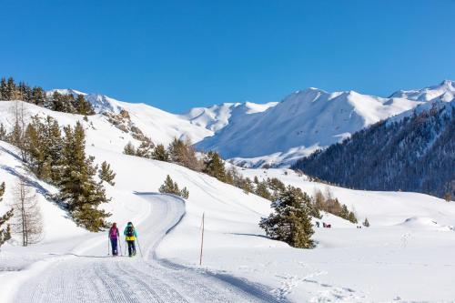 Ski-in/Ski-out Chalet, Quiet Location, and Jacuzzi