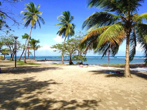 MANGOBELO entre océan et rivières (MANGOBELO entre ocean et rivieres) in Capesterre-Belle-Eau