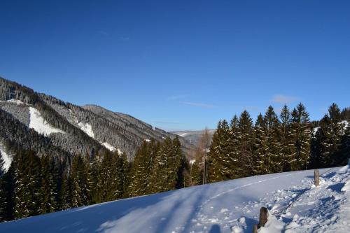 Gasthof Oberer Gesslbauer