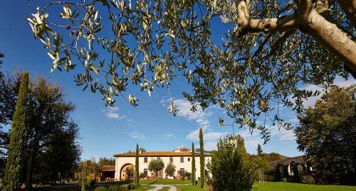  B&B ai Condotti di Pisa da Filippo, Pension in San Giuliano Terme