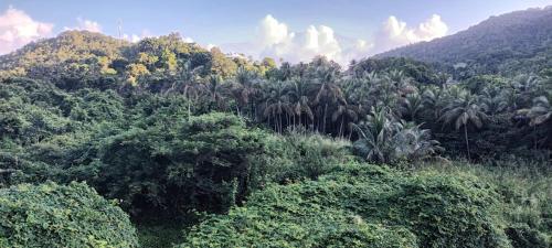 Weston, Deshaies (Foto 6)