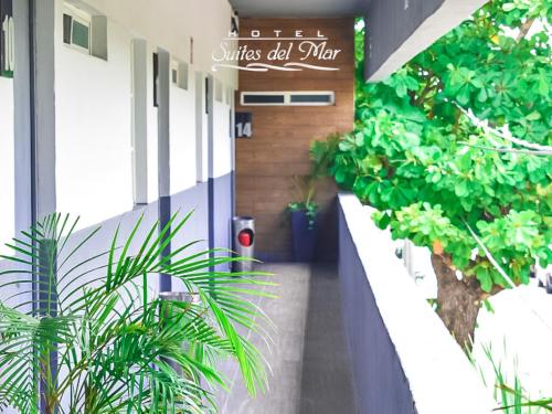 Exterior view, Hotel Suites del Mar in Playa Nte.
