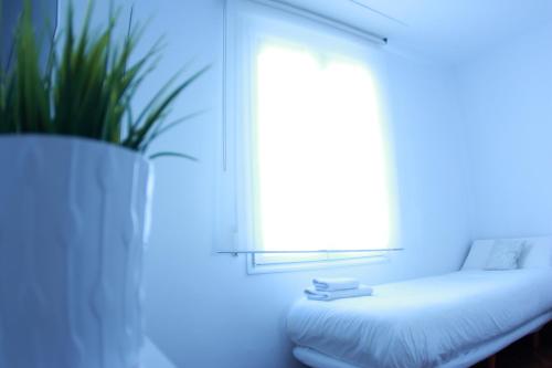 Zubia Urban Rooms - image 12