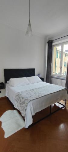 Brignole A, Genua
