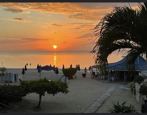 Seacret Studios - Cozy Jamaican Retreat