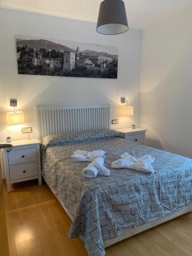 APARTAMENTO GOR, Granada (fotografie 10)