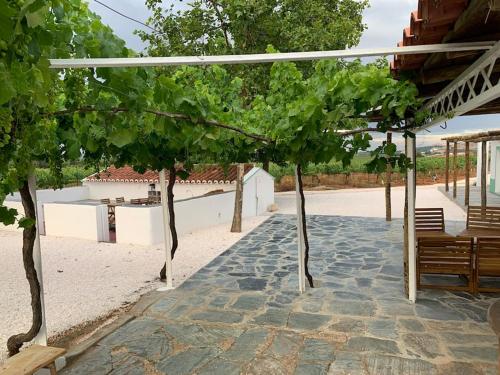 Fonte Freixo, em Borba, Alentejo in Borba