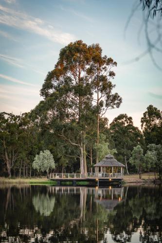 Forest Rise Chalets and Lodge