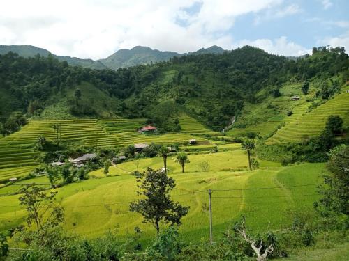 Bac Ha Charm Stay in Bac Ha (Lao Cai)