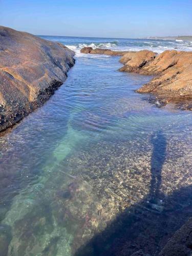 Sea Salted-Leisure Bay Paradise