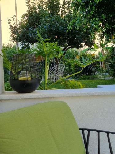 B&B Kamalei Tropea 4