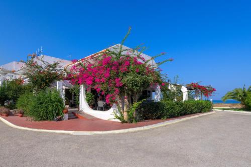 Nirvana Beach Hotel - image 4