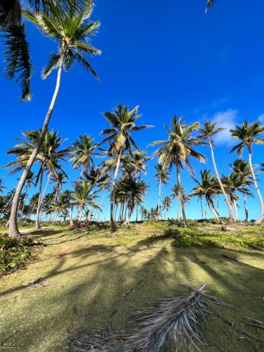 Surrounding environment, CASAS LEON Casita de playa #2 in El Frances