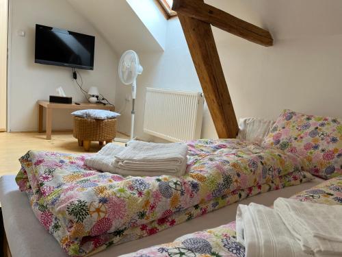 B&B Pardubice - Mezonet Svítkov 21 - Bed and Breakfast Pardubice