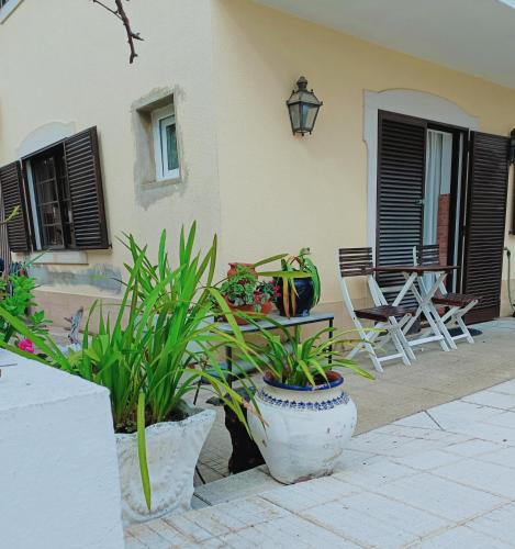 Casa em Palmela - Setúbal (Casa em Palmela - Setubal) in Palmela