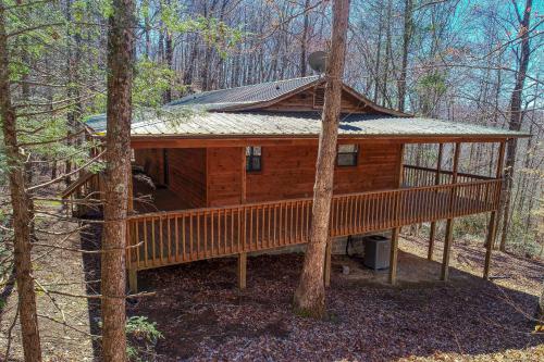 Into the Wild Cabin in Cosby, USA