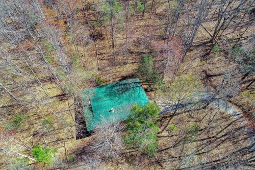 Into the Wild Cabin in Cosby, USA
