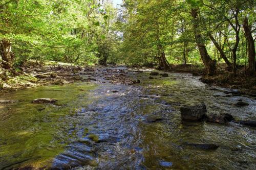Whispering Creek Cabin - image 11