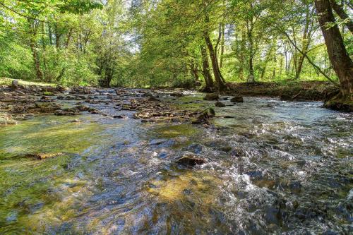 Whispering Creek Cabin - image 4