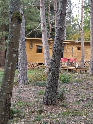 Chalet papillon Domaine de la Mamounette