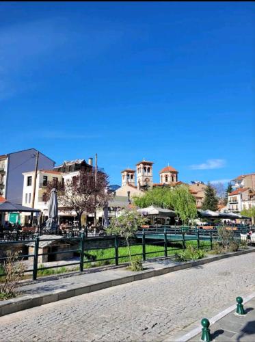 Center River Apartment in Florina