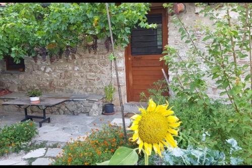Little stone cottage. gîte à louer Ágios ton Meteóron