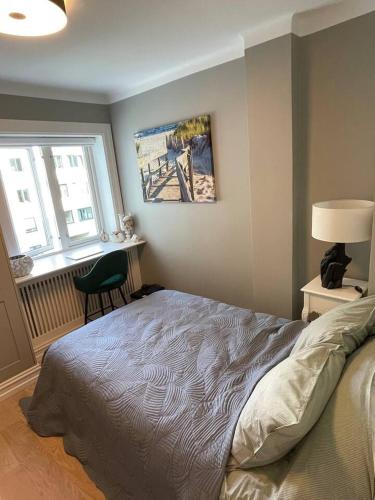 New, exclusiv, modern 2 bedroom apartment in Oslo sentrum with garage