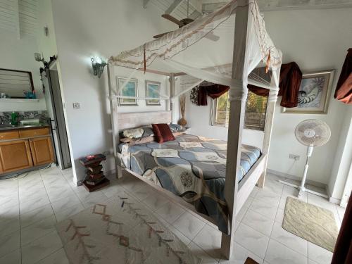 Waves Villa Guesthouse in Kingstown