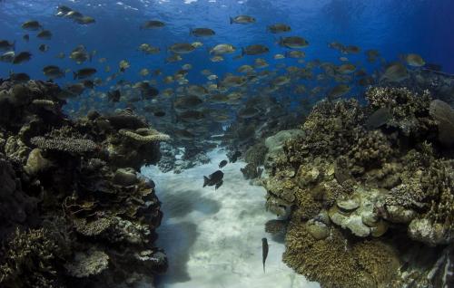 Sport und Aktivitäten, Kosrae Nautilus Resort in Kosrae