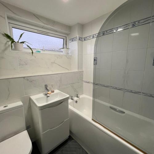 Bathroom, Bree and Geesi in Nechells