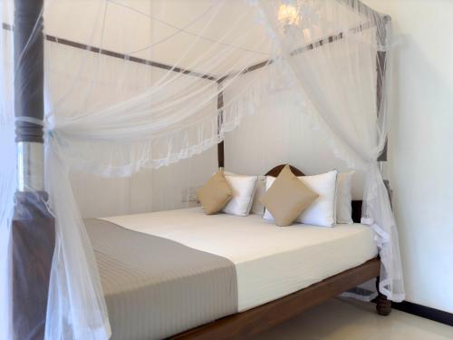 Dream Paradise - Weligama