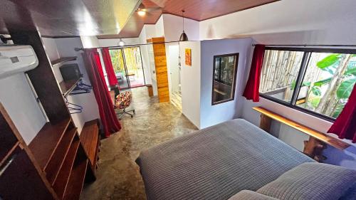 Casa Swell Coronado A unique blend of luxury and nature in the hearth of Coronado