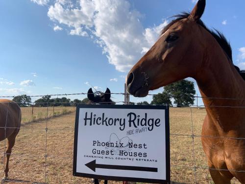 Hickory Ridge Hideaway Cabin - Romantic, Peaceful