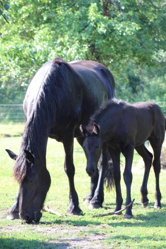 Weidmannsruh - große Ferienwohnung mit 3 Schlafzimmern in Schwarzheide