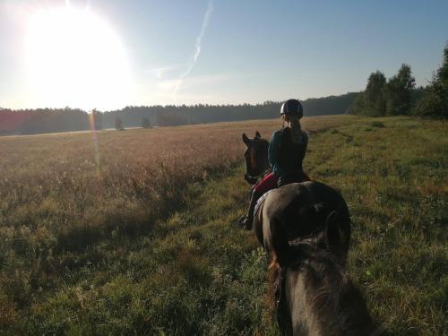 Weidmannsruh - große Ferienwohnung mit 3 Schlafzimmern in Schwarzheide