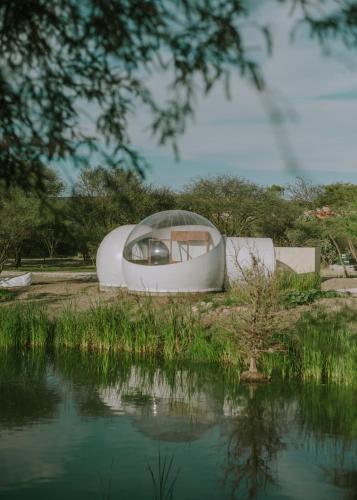 Amazing bubble hotel next to a lake, best view 103