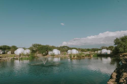 Amazing bubble hotel next to a lake, best view 105