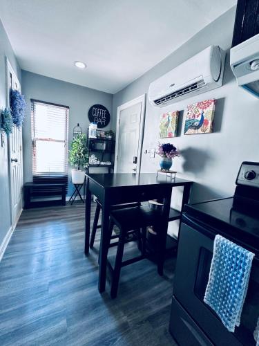 Tiny House - Chicago Pilsen Neighborhood in Lower West Side