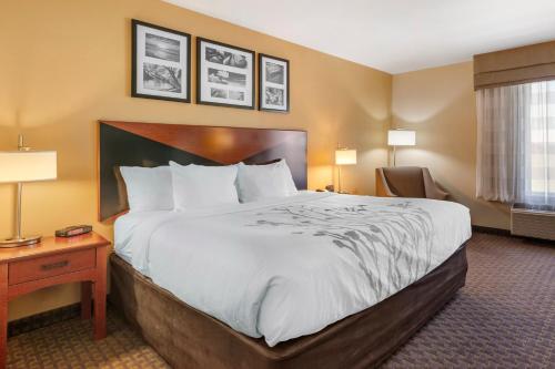 愛達荷福爾斯-黃石大門舒眠套房酒店 (Sleep Inn & Suites Idaho Falls Gateway to Yellowstone) in 愛達荷州愛達荷福爾斯(ID)